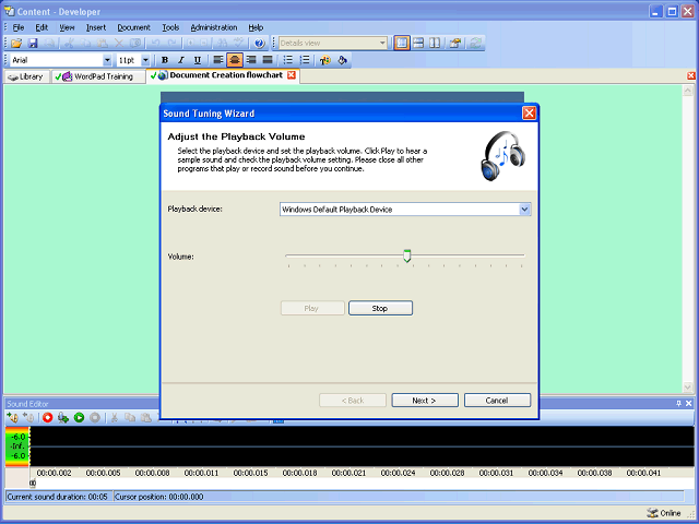 Screen image of this step