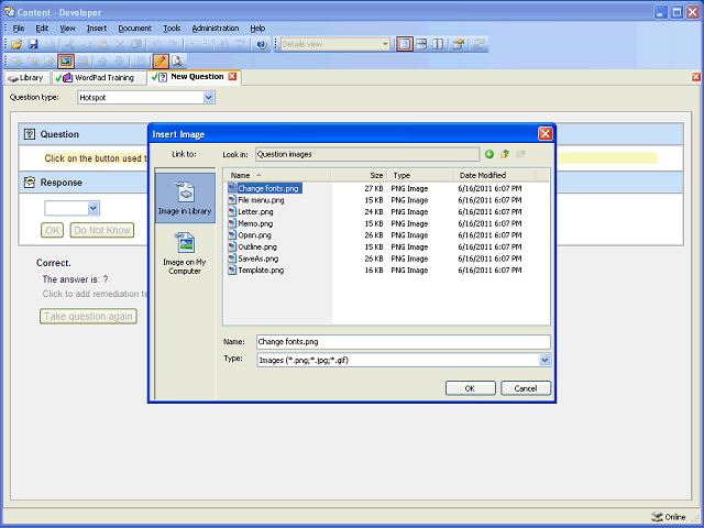 Screen image of this step