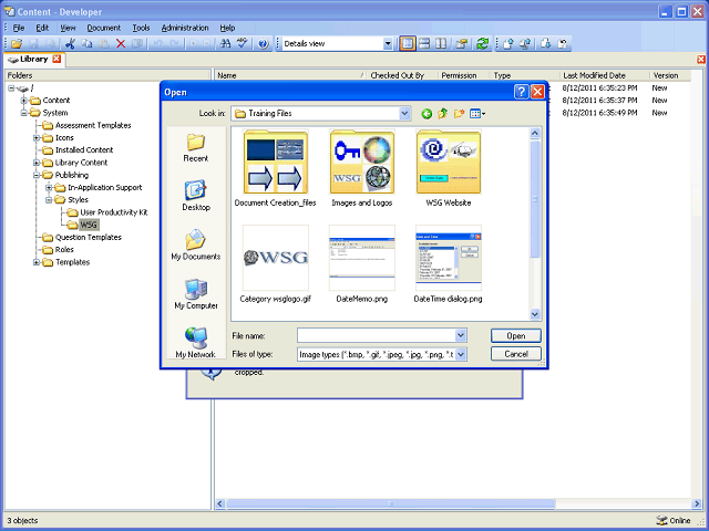 Screen image of this step