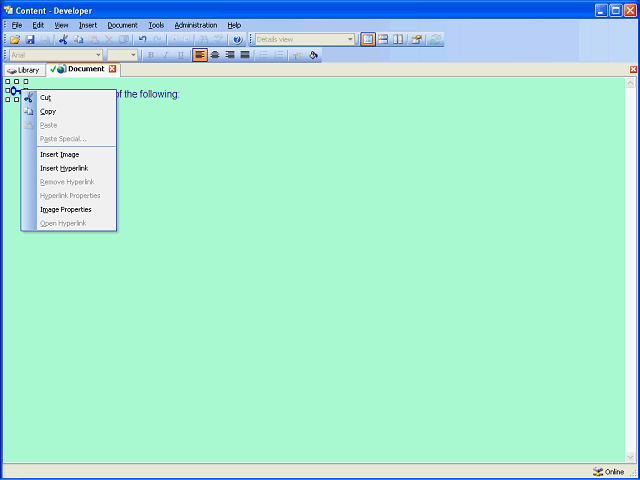 Screen image of this step