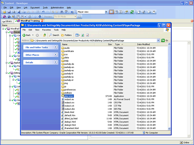 Screen image of this step