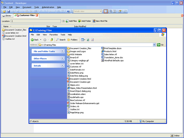 Screen image of this step