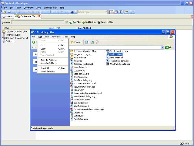 Screen image of this step