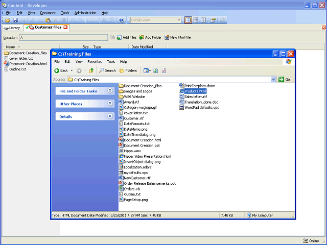 Screen image of this step