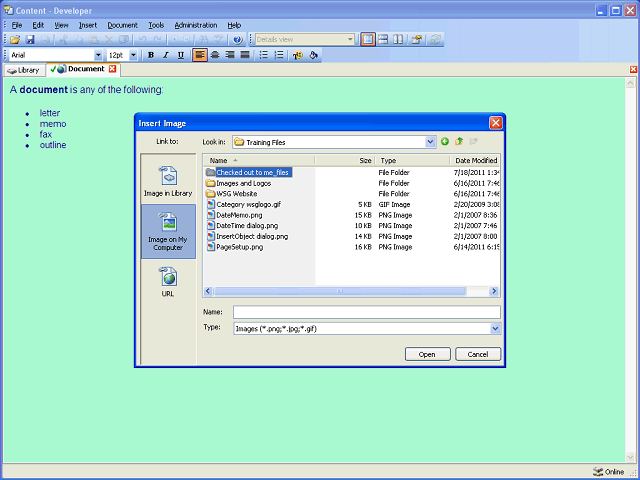 Screen image of this step