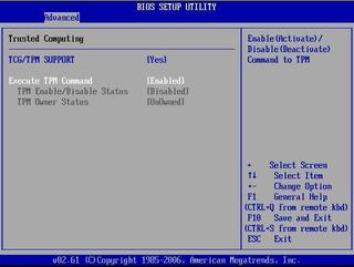 有効になった「Execute TPM command」の設定の図。 図: 有効になった「Execute TPM command」の設定を示す図。