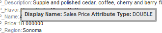 Excerpt from a Data Explorer component showing the display name and data type in a tooltip