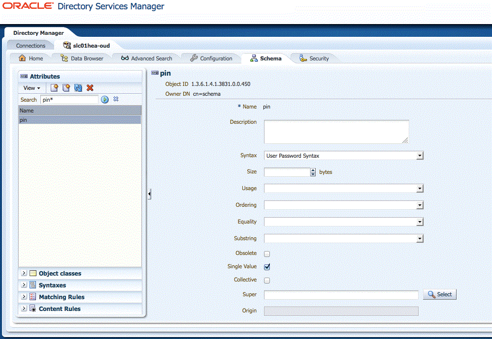 Using ODSM to create the PIN attribute in OUD