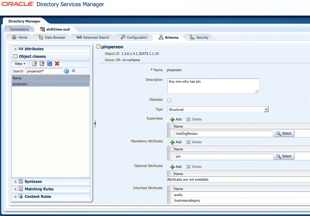 Using ODSM to create the pinperson object class