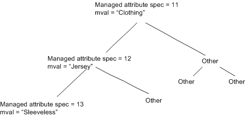 Diagram of a managed attribute hierarchy