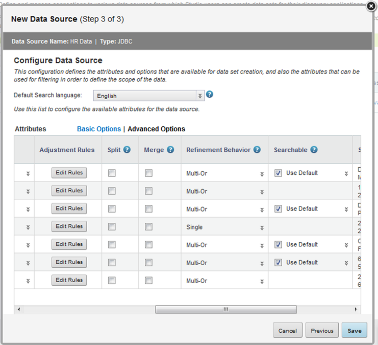 Advanced Options view of the Configure Data Source page