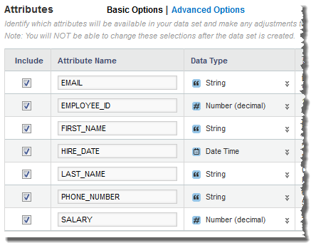Basic options for data set attributes