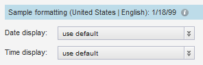 Value formatting fields for a date-time attribute