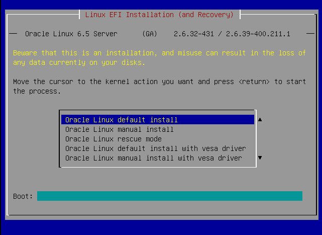 image:A screen capture showing the boot device operating system installation                         screen.