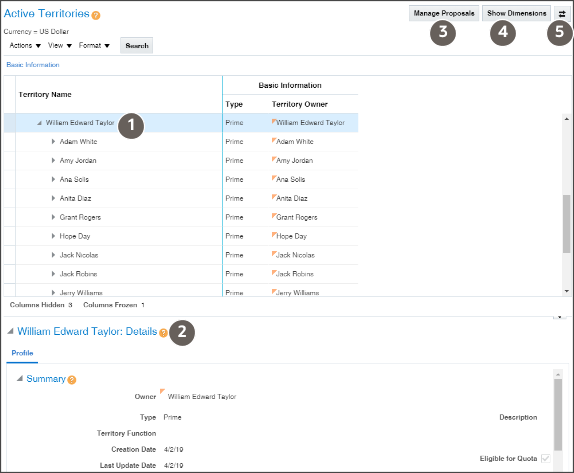 サンプル・データが表示された「詳細」UIでの
「アクティブ・テリトリ」ページの一部のスクリーン・キャプチャ。前の表で説明された領域は、
コールアウトで強調表示されています。