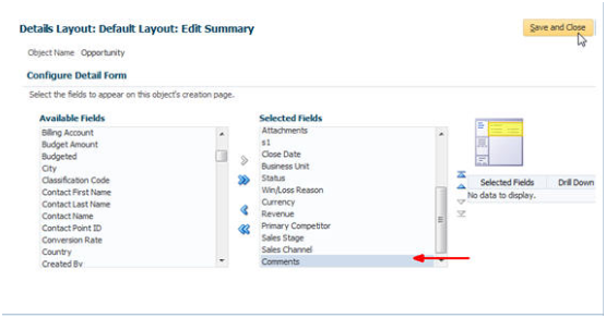 「詳細レイアウト: デフォルト・レイアウト: 要約の編集」ウィンドウ