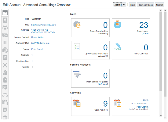 これは、アカウント・レコードの
「概要」サブタブのスクリーンショットです。