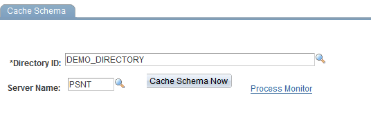 Cache Schema page