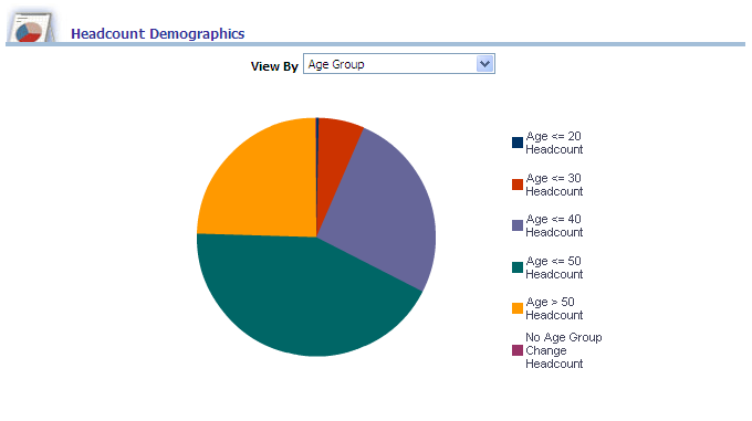 Headcount Demographics report
