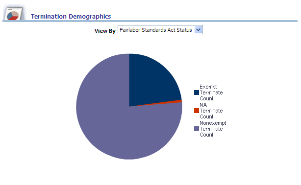 Termination Demographics report
