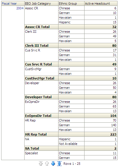 Minority Representation by Job Category report, part 2