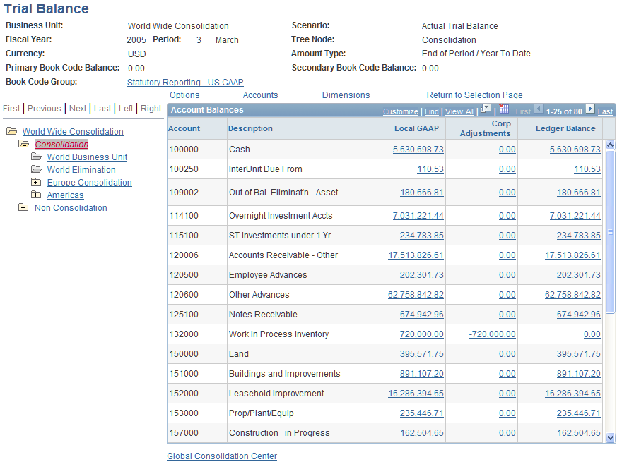 Example of the Trial Balance Inquiry page showing amounts segregated by primary and secondary book codes.