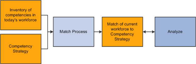 Conceptual overview of the Competency Strategy Match business process