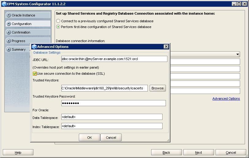 Foundation Servicesデータベースにセキュアな接続パラメータを設定する「詳細設定オプション」画面。