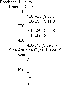 この図は、この図の前のテキストで説明されている、マルチレベルの属性次元の構築後のアウトラインを示しています。