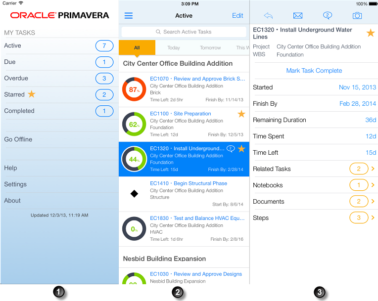 P6 Team Member for iOS 中的主要区域。下表描述了每个标记项目。