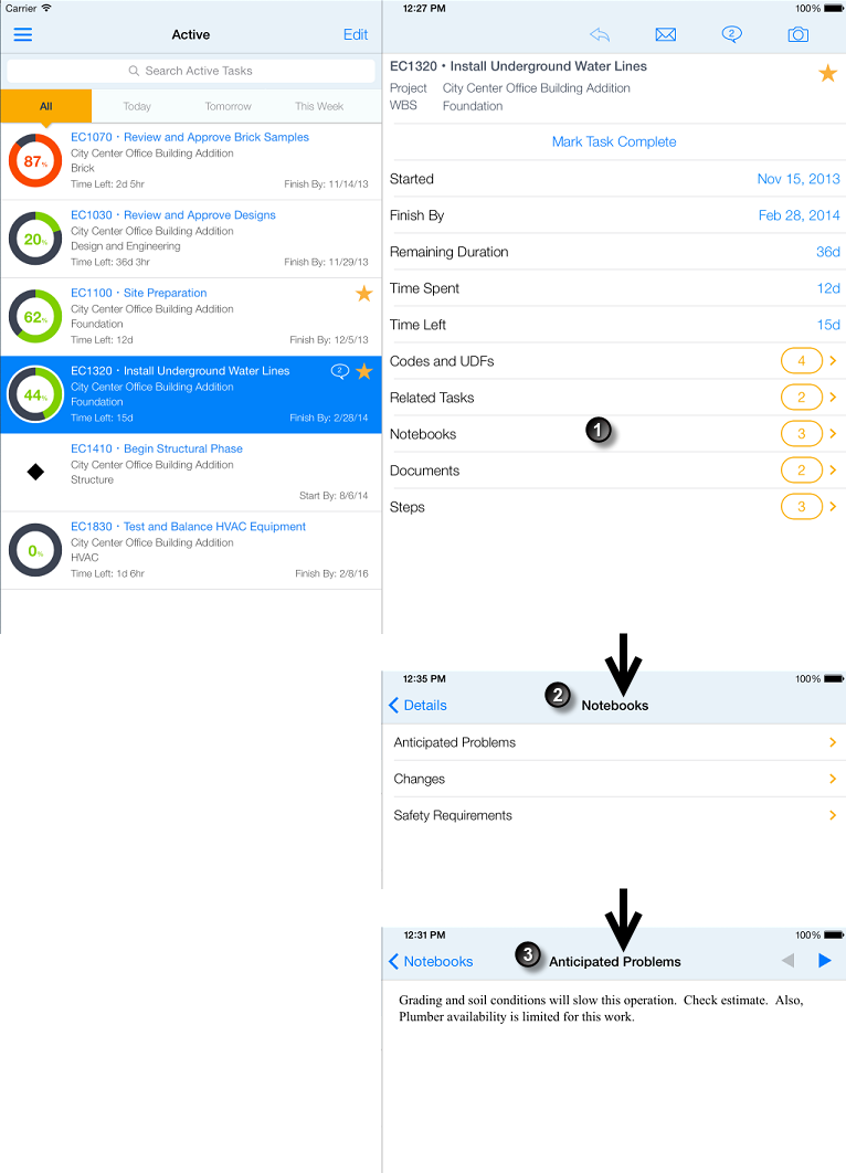 Steuerelemente und Indikatoren für die Arbeit mit Notizbüchern in P6 Team Member. In der folgenden Tabelle werden alle beschrifteten Elemente erläutert.