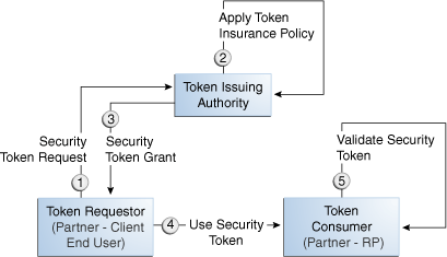 Typical Token Ecosystem