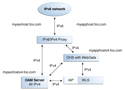 OAM 11gでのIPv6とチャレンジ・リダイレクト