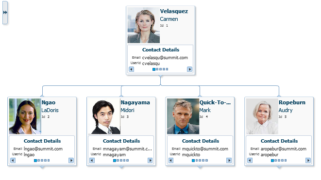 Hierarchy Viewer Showing Org Chart