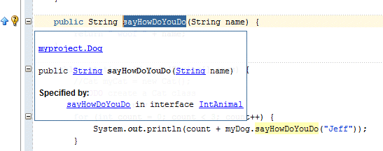 ソース・エディタ：選択したメソッドに関するJavadoc情報を表示したウィンドウの表示。