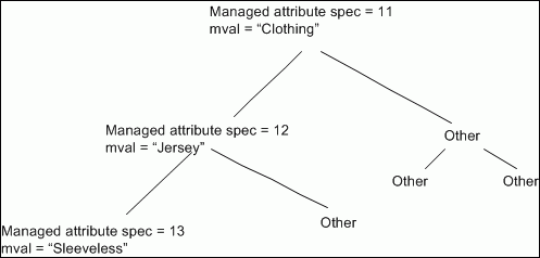 Diagram of a managed attribute hierarchy