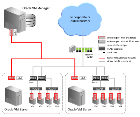 This figure illustrates two virtual machine networks with connectivity through the same interface.