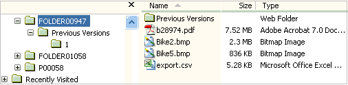 Previous Versions
