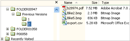 Sub-folders in Previous Versions Folder