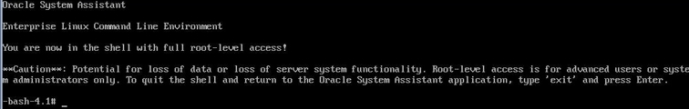 image:Oracle System Assistant の「Advanced Tasks」の「Shell」画面を示すスクリーンショット。