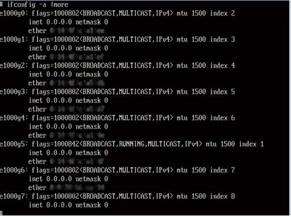 image:Solaris の名前付きインタフェースの出力