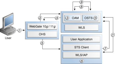 Identity Propagation Processing