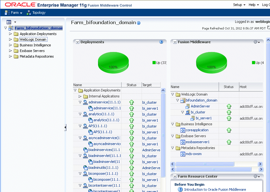 Fusion Middleware Controlのbifoundation_domainページ