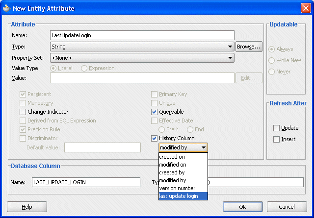 新規エンティティ属性エディタでの履歴列タイプの図