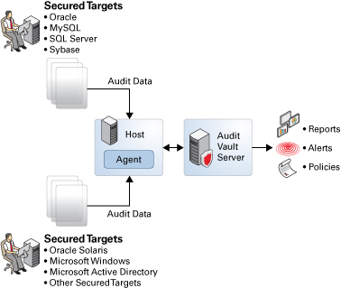 image:Graphic shows how Oracle Solaris and Audit Vault work together to handle alerts and create reports according to audit policy.