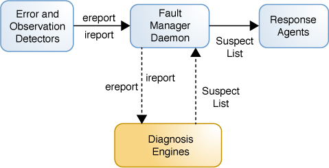 image:Figure shows relationships between the Fault Manager daemon, error detectors, alerts, diagnosis engines, and response agents.