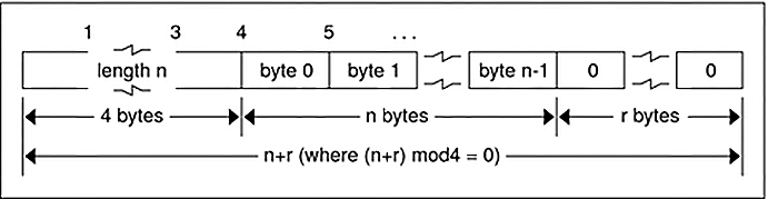 image:Graphic illustrates variable-length opaque encoding