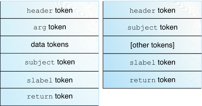 image:Graphic shows two typical audit record structures. The kernel record contains data tokens. Both records include an slabel token.