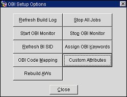 obi_setup_options