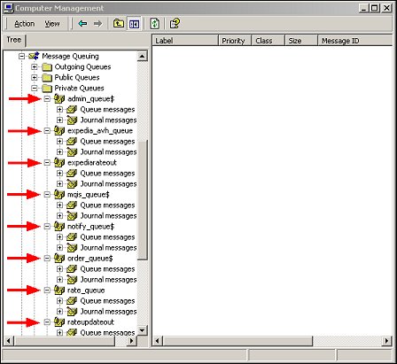 Microsoft Message Queuing Services (MSMQs)